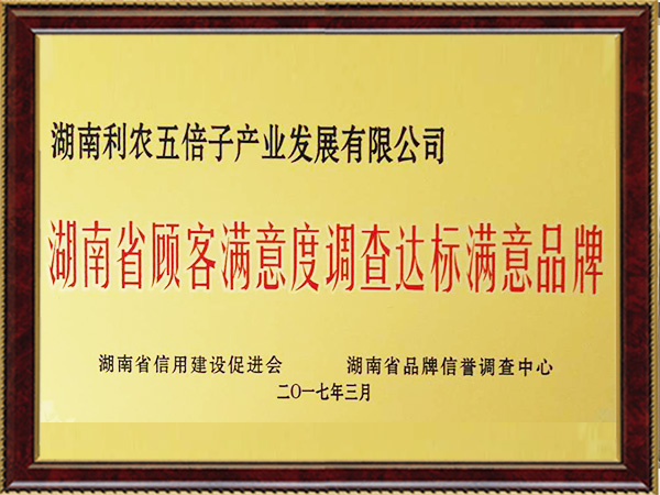 Customer Survey Satisfaction Brand of Hunan Province