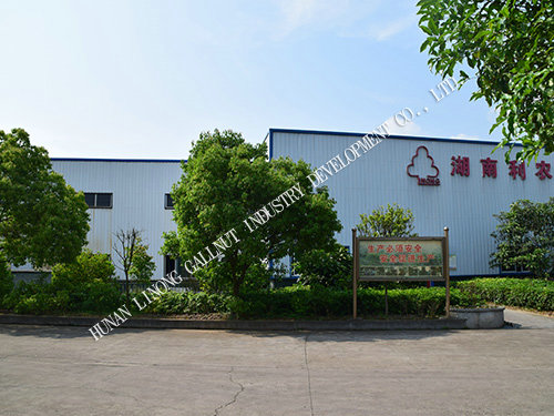  Factory picture 21
