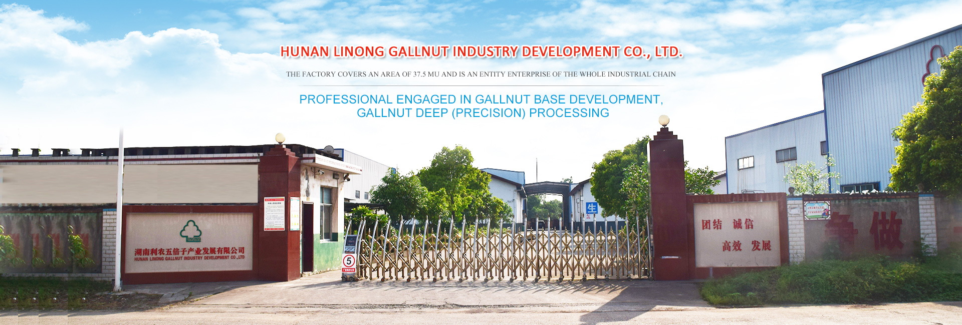 HUNAN LINONG GALLNUT INDUSTRY DEVELOPMENT CO., LTD. _HUNAN GALLNUT DEEP (PRECISION) PROCESSING 